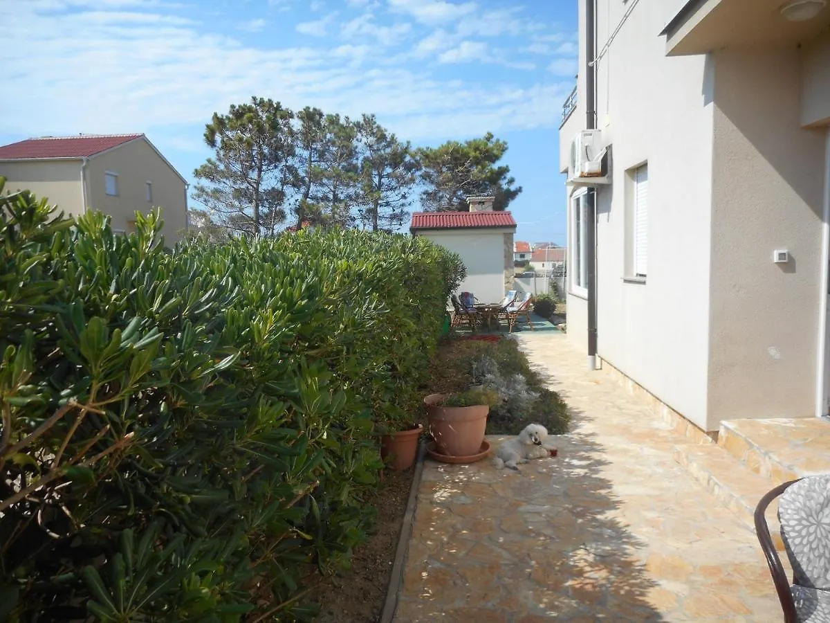Patrik Apartment Povljana Croatia